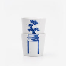 Load image into Gallery viewer, BONSAI CUPS - JAPANESE MAPLE