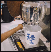 Load image into Gallery viewer, BONSAI CUPS- CHRYSANT